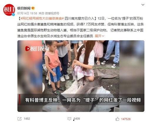 陇西网红吃瓜事件视频播放,视频播放引发网友热议 第3张 陇西网红吃瓜事件视频播放,视频播放引发网友热议 第3张